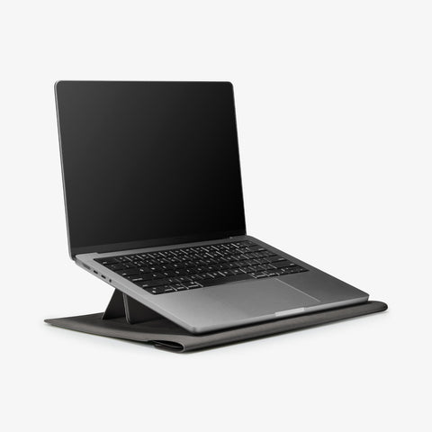 Valentinus S Laptop Pouch