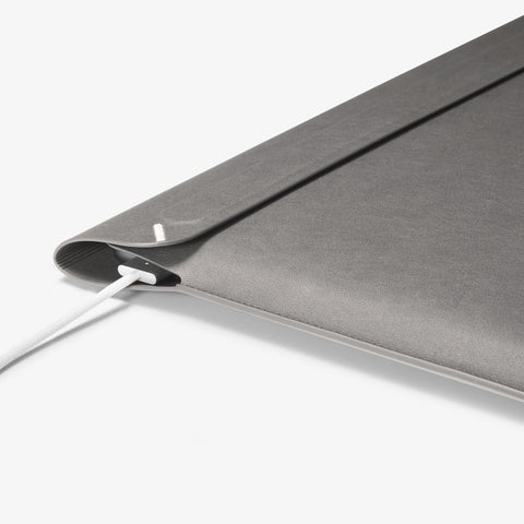 Valentinus S Laptop Pouch