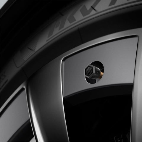 Universal Tire Valve Stem Cap | VS100