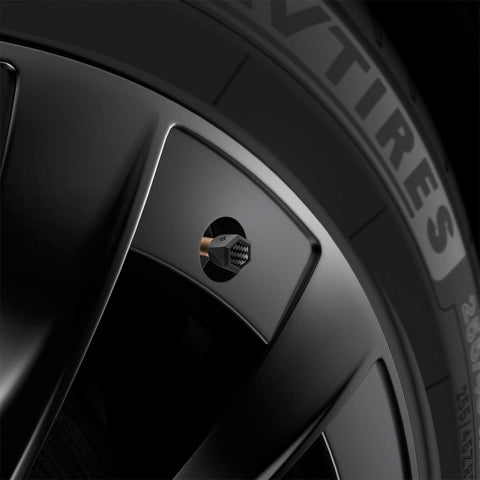 Universal Tire Valve Stem Cap | VS100