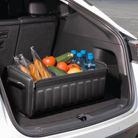 Trunk Organizer | TSO100