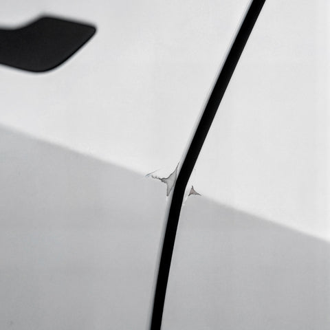 Garage Wall Protector | WP100