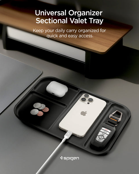 Sectional Catchall Tray | LD403